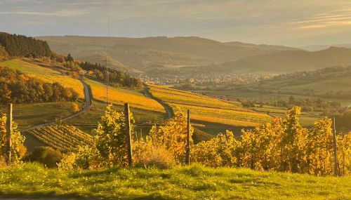 Pellinger-Hof - Foto 5