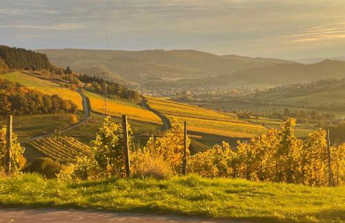 Pellinger-Hof - Foto 5