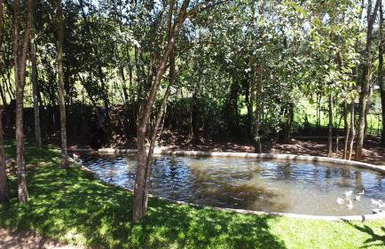 Casa na árvore com banheira, piscina, trilha, cavalo - Foto 16