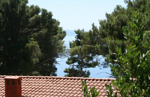 Apartments by the sea Zaostrog, Makarska - 6799 - Foto 25