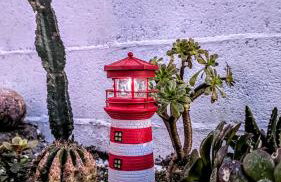 Casa Carmen e do Hilario - Foto 4