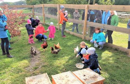 Teichhauswohnung - Foto 15