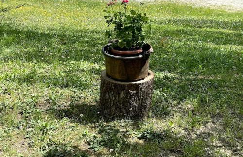 casa RIFUGIO OLIVIERI - Foto 12