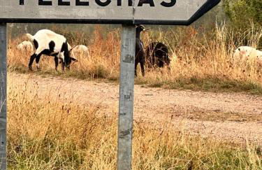 Los Tres Hórreos - Foto 13