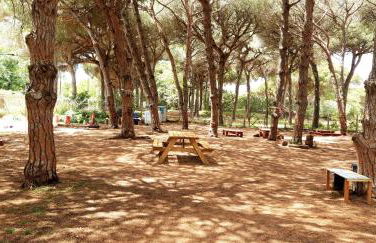 The PineForest Cabin - Foto 17