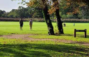 New Forest Bees Holiday Home, Bashley - Foto 19
