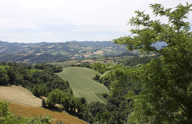 Rural Retreat in Sassoleone - Foto 38