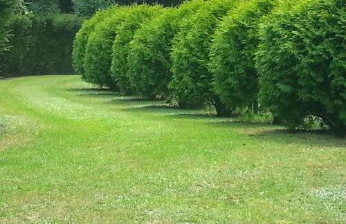 Dom Wakacyjny Myśliborka - Foto 24