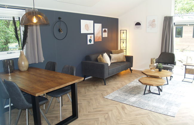 2 bedroom House in Ruinen with swimming pool and terrace - Photo 3