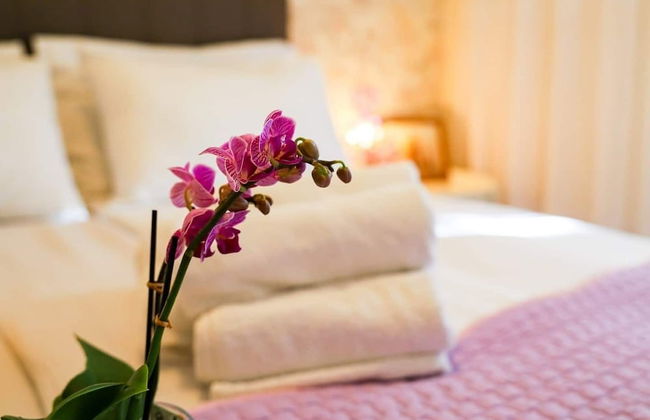 Novis - Close to the sea - A5 Tina - Foto 7