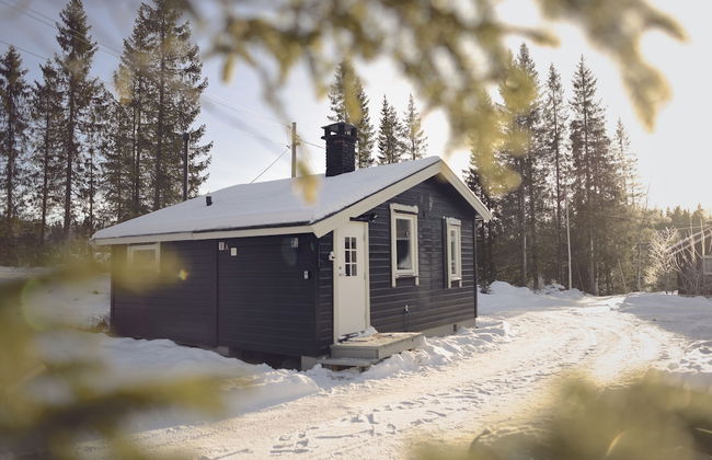 Koselig Hytte i Hemsedal - Foto 1