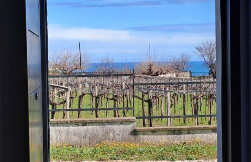 Appartamentino1 Collina Costa Dei Trabocchi - Foto 5