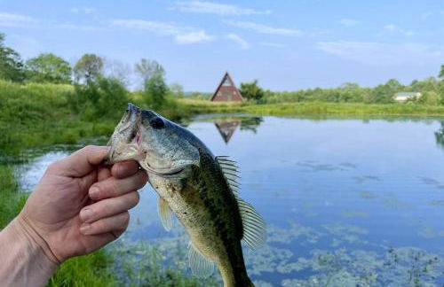 3 A-Frame Cabins w Hot Tubs Near Wine Trail - Foto 31