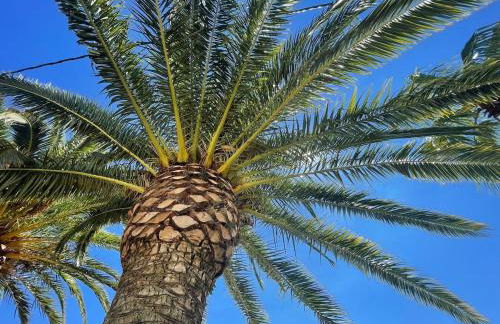 Villa Andaluz - Spacious villa natural reserve - sea view - Foto 35