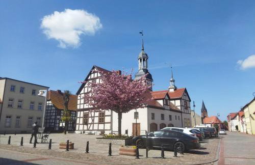 Villa Aurea - Foto 61