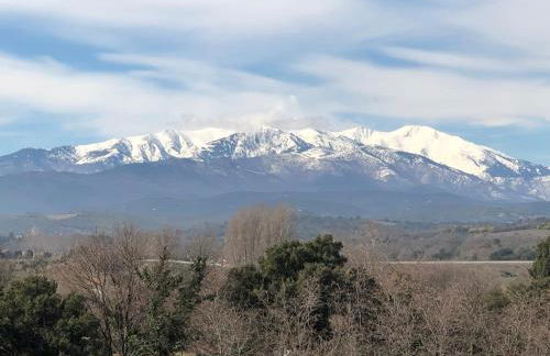 LA SOLANA Maison catalane avec spa privé chauffé toute l'année - Foto 38