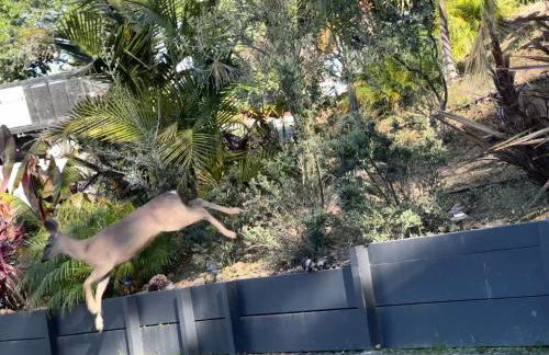 Private Luxury Suite with Views Near SF & Wine Country - Foto 41