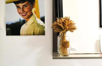 Superbe T3- Two bedrooms appartment with garden and pétanque! Perfect Spot! - Photo 30