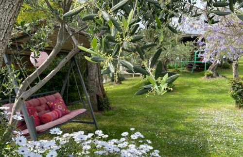 Azienda agricola Della Mezzaluna - Foto 33