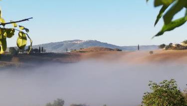 Podere Sant'Antonio - Foto 5