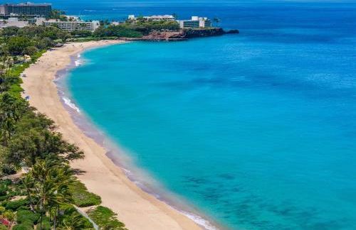 Lahaina Shores 413 · LS 413 Breathtaking Beachfront Remodeled St - Foto 48