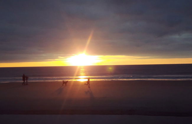 Abendsonne - Foto 11