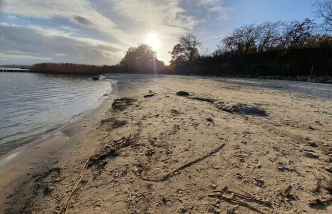 Holiday Home Sundtraum - Foto 30