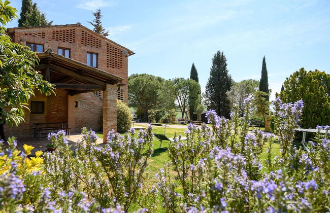 Fattoria Pieve a Salti - Foto 43