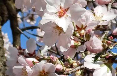 PRIORAT Ca la Iolanda "RELAX ESCALADA Y NATURALEZA" - Foto 41