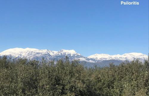 UTOPIA RESIDENCES Gaia House - Photo 44