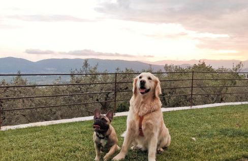 A CASA DI OLIVO - Foto 36