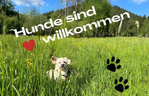 Schwarzwaldhaus Zwink - Photo 28