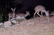 Casetta con vista - Photo 13