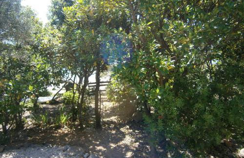 Apartments Grbin - Foto 62