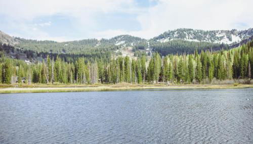 Majestic Suite 5 Bedroom Brighton Chalet - Foto 4, Other