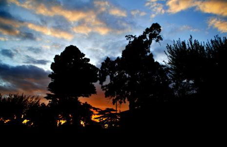 Palazzo Rosso - Foto 40