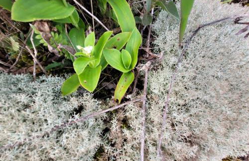 Chalé do Lopo - Photo 57