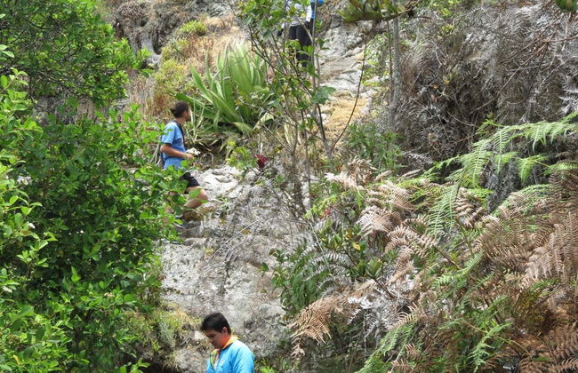 Cucunubá Hiking Tour - Foto 8