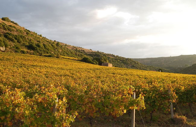 Relaxing Bosa Stay With Veranda - Foto 29