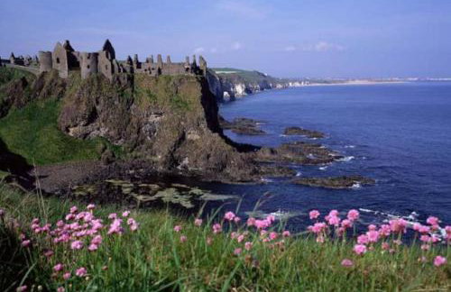 Pear Tree Cottage, Portstewart - Foto 26