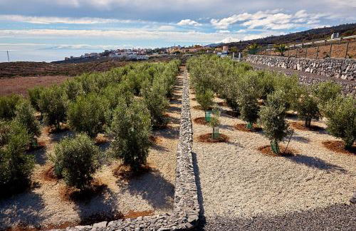 Finca el Vinche - Foto 25