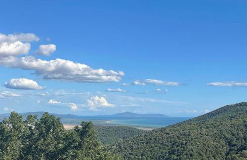 Nido d'Arte - Foto 22