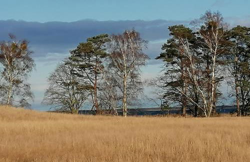 Gästewohnung Schwanenteich - Foto 42