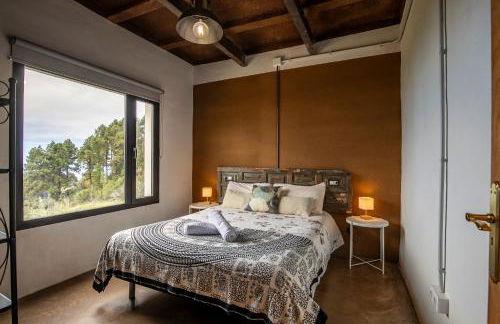 Monte frio de Tenerife - Foto 51