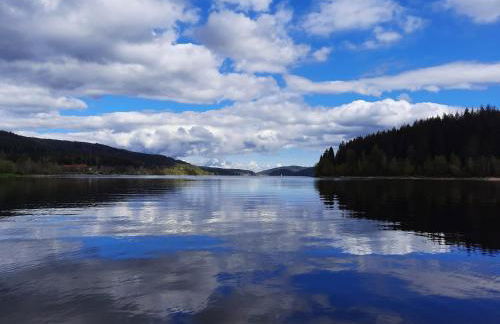 Ferienwohnung Boch Schluchsee - Foto 32