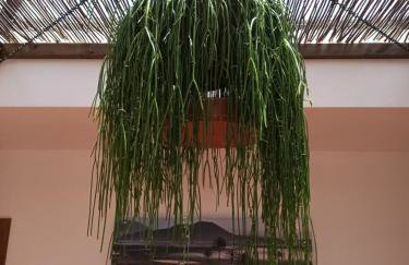 Casa Rinaifi - Foto 20