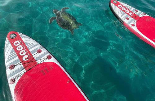 Osservatorio House - Foto 29