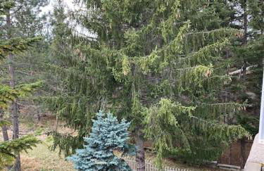 Appartamento immerso nel verde - Foto 62