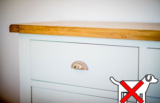 St. Tinney Farm - Photo 56