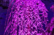 Apartament u Joli - Foto 23